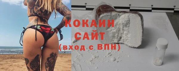 дживик Абинск