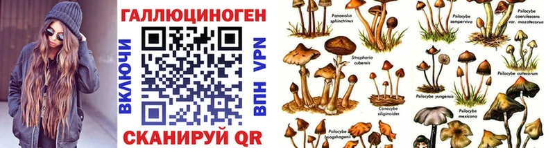 Галлюциногенные грибы Psilocybe  Красноперекопск 